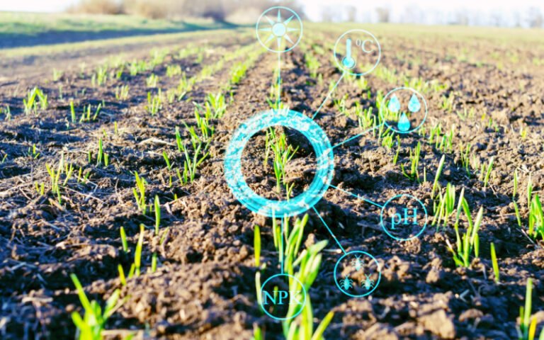 Artificial Intelligence in Agriculture: Transforming the Future of Farming